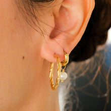 Load image into Gallery viewer, Vintage Twisted Rope Design Hoop Earrings