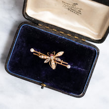 Load image into Gallery viewer, Victorian 15K Yellow Gold Pearl, Diamond and Ruby Insect Brooch