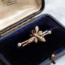 Load image into Gallery viewer, Victorian 15K Yellow Gold Pearl, Diamond and Ruby Insect Brooch