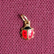 Load image into Gallery viewer, Vintage Tiny Enamel Ladybug Charm