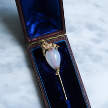 Load image into Gallery viewer, Antique Victorian Agate Lion Stick Pin in Original Case