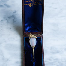 Load image into Gallery viewer, Antique Victorian Agate Lion Stick Pin in Original Case