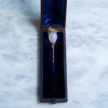 Load image into Gallery viewer, Antique Victorian Agate Lion Stick Pin in Original Case
