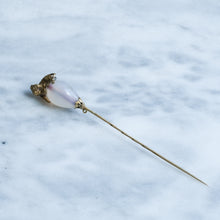 Load image into Gallery viewer, Antique Victorian Agate Lion Stick Pin in Original Case