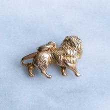 Load image into Gallery viewer, Vintage Majestic Lion Charm