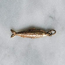 Load image into Gallery viewer, Vintage Tiny Trout Fish Pendant