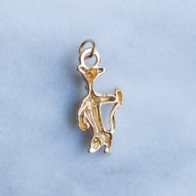 Load image into Gallery viewer, Winnie-The-Pooh and Friends