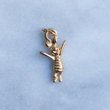 Load image into Gallery viewer, Winnie-The-Pooh and Friends