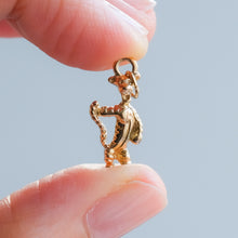 Load image into Gallery viewer, Winnie-The-Pooh and Friends