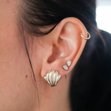 Load image into Gallery viewer, Vintage 14K Yellow Gold Seashell Earrings