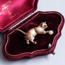 Load image into Gallery viewer, Vintage Retro Playful Cat Brooch