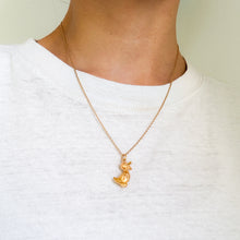 Load image into Gallery viewer, Vintage Retro Duck Charm