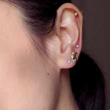 Load image into Gallery viewer, 14k Yellow Gold Cat Earrings