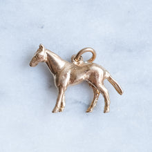 Load image into Gallery viewer, Vintage 1960s Horse Charm
