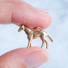 Load image into Gallery viewer, Vintage 1960s Horse Charm
