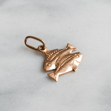 Load image into Gallery viewer, Vintage Pisces Zodiac Charm / Pendant
