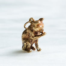Load image into Gallery viewer, Vintage Grooming Cat Charm
