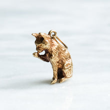 Load image into Gallery viewer, Vintage Grooming Cat Charm
