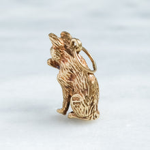 Load image into Gallery viewer, Vintage Grooming Cat Charm
