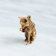 Load image into Gallery viewer, Vintage Grooming Cat Charm
