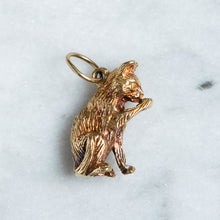 Load image into Gallery viewer, Vintage Grooming Cat Charm

