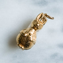 Load image into Gallery viewer, Vintage Retro Peter Rabbit (in the style of) Charm
