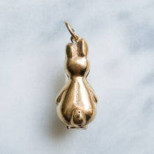 Load image into Gallery viewer, Vintage Retro Peter Rabbit (in the style of) Charm
