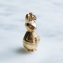 Load image into Gallery viewer, Vintage Retro Peter Rabbit (in the style of) Charm
