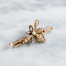 Load image into Gallery viewer, Victorian 15K Yellow Gold Pearl, Diamond and Ruby Insect Brooch
