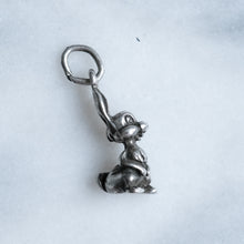 Load image into Gallery viewer, Disney Thumper Charm
