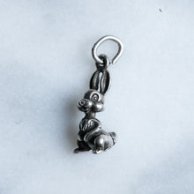 Load image into Gallery viewer, Disney Thumper Charm
