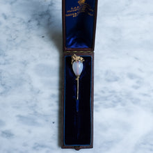 Load image into Gallery viewer, Antique Victorian Agate Lion Stick Pin in Original Case
