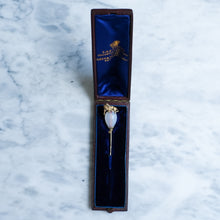 Load image into Gallery viewer, Antique Victorian Agate Lion Stick Pin in Original Case
