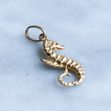Load image into Gallery viewer, Vintage Seahorse Charm
