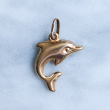 Load image into Gallery viewer, Vintage Puffy Dolphin Charm
