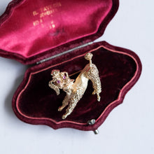 Load image into Gallery viewer, Vintage Retro Playful Poodle Brooch
