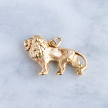 Load image into Gallery viewer, Vintage Majestic Lion Charm
