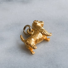 Load image into Gallery viewer, Vintage Terrier Charm
