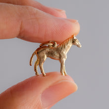 Load image into Gallery viewer, Vintage Horse Charm
