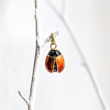 Load image into Gallery viewer, 14K Yellow Gold Enamel Lady Bug Charm
